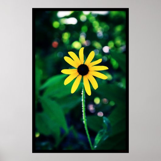 Poster Fleur Jaune #5033 (Devant)