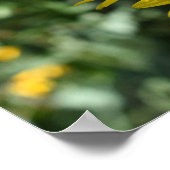 Poster Fleur Jaune Fleur Florale Nature Photographie (Coin)