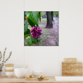 Poster fleur lilas sous la pluie (Cuisine)