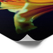 Poster Fleur Lily Jaune intense (Coin)