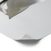 Poster Fleur Lily Orientale Blanche (Coin)