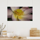 Poster Fleur Lotus Rose I Floral Été (Cuisine)