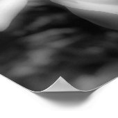 Poster Fleur Magnolia Noir Et Blanc Haut Contraste (Coin)