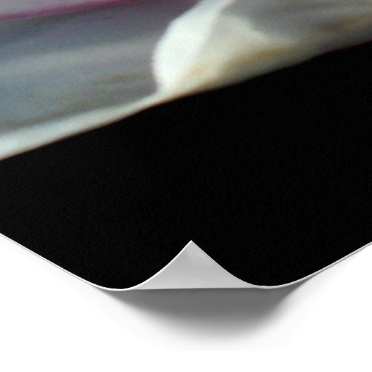 Poster Fleur Magnolia simple (Coin)