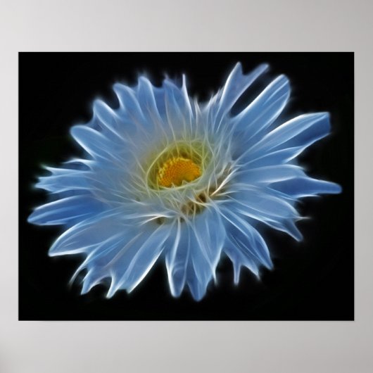 Poster Fleur marguerite (Devant)