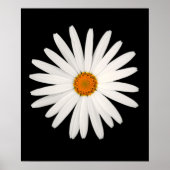Poster Fleur marguerite (Devant)