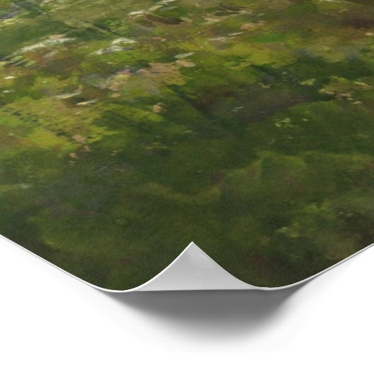 Poster Fleur Meadow William Henry Holmes Aquarelle (Coin)