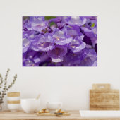 Poster Fleur Mesquite (Cuisine)