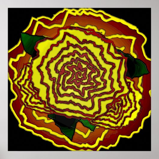 Poster fleur mexicaine (Devant)