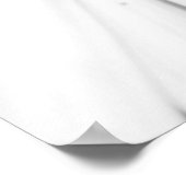 Poster Fleur monochrome de marguerite africaine (Coin)