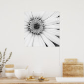 Poster Fleur monochrome de marguerite africaine (Cuisine)