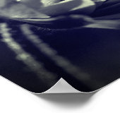 Poster Fleur Noir Et Blanc Au Soleil (Coin)