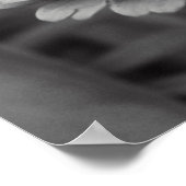 Poster Fleur noire et blanche (Coin)