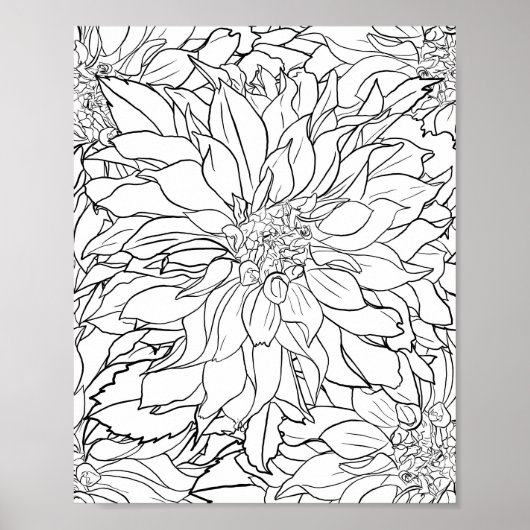 Poster Fleur noire et blanche Dahlia (Devant)