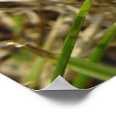 Poster Fleur - Nouvelle création (Coin)