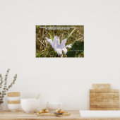 Poster Fleur - Nouvelle création (Cuisine)