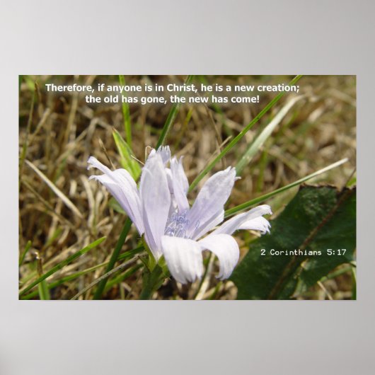 Poster Fleur - Nouvelle création (Devant)