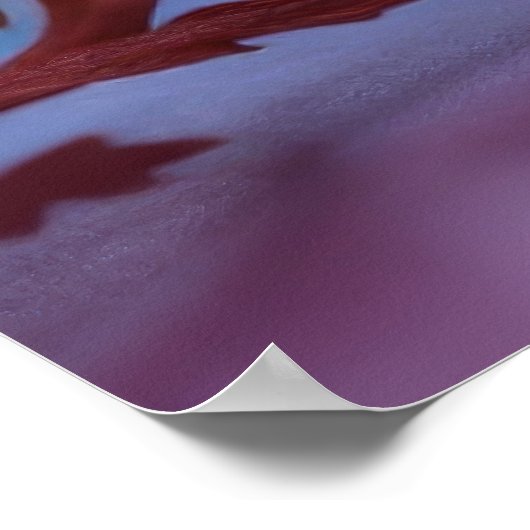 Poster Fleur orange (Coin)