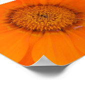 Poster Fleur orange (Coin)