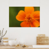Poster Fleur orange (Cuisine)