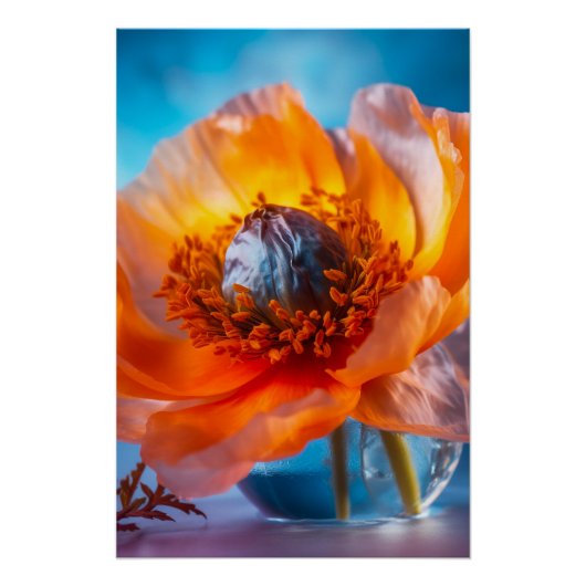 Poster Fleur orange (Devant)