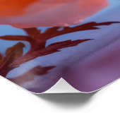 Poster Fleur orange (Coin)