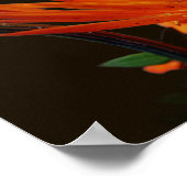 Poster Fleur Orange Au Soleil Floral (Coin)