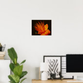Poster Fleur Orange Au Soleil Floral (Bureau à domicile)