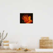 Poster Fleur Orange Au Soleil Floral (Cuisine)