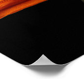 Poster Fleur orange de l'oiseau de paradis (Coin)