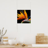 Poster Fleur orange de l'oiseau de paradis (Cuisine)