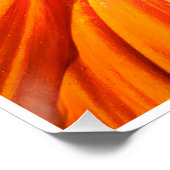 Poster Fleur orange radieuse Macro Impression d'art mural (Coin)