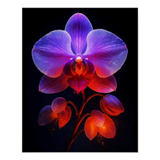 Poster Fleur orchidée dans la lumière (Devant)
