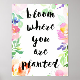 Poster Fleur Où Vous Avez Planté Aquarelle Florale
