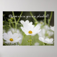 Fleur Où vous avez planté Photo florale blanche