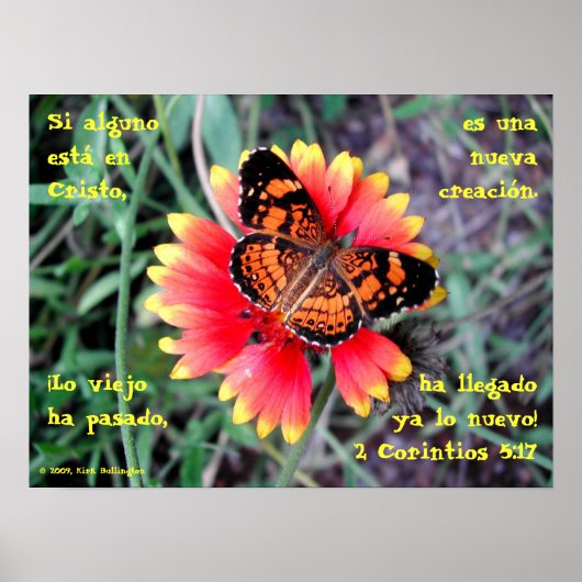 Poster Fleur papillon—2 Corintios 5:17 (Devant)