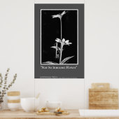 Poster Fleur pas si innove (Cuisine)