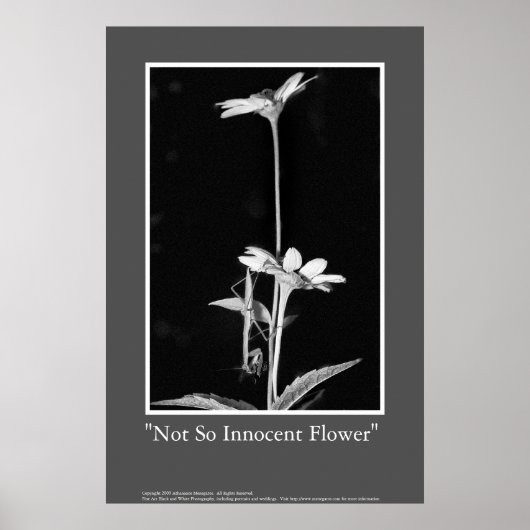 Poster Fleur pas si innove (Devant)