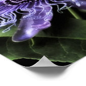 Poster Fleur Passion (Coin)