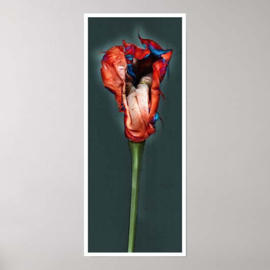 Poster Fleur Passion #5 (Devant)