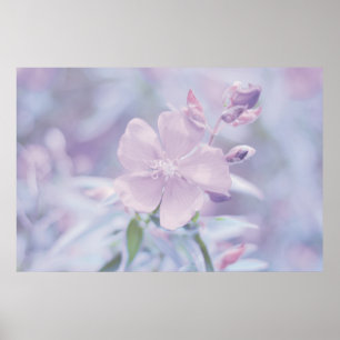 Poster Fleur Pastel