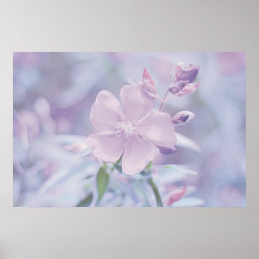 Poster Fleur Pastel (Devant)