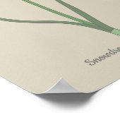 Poster Fleur pastel botanique Snowdrop (Coin)