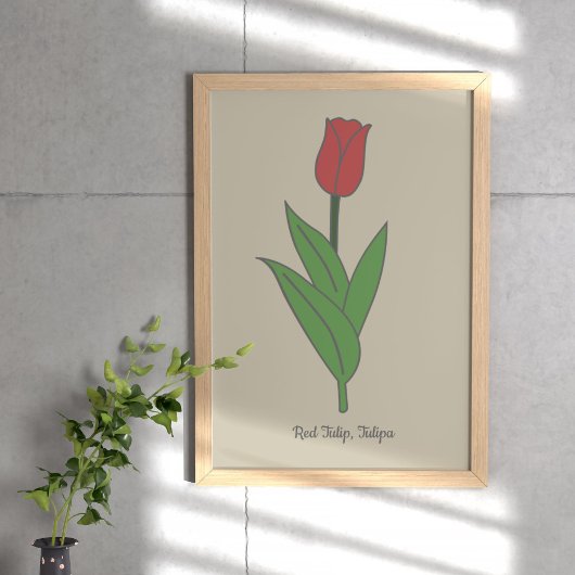 Poster Fleur pastel de Tulipe rouge botanique