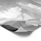 Poster Fleur Peine En Noir Et Blanc (Coin)