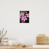 Poster Fleur Plumeria rose (Cuisine)