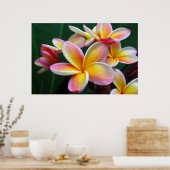 Poster Fleur Plumeria sur toile ! (Cuisine)