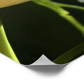 Poster Fleur pourpre (Coin)