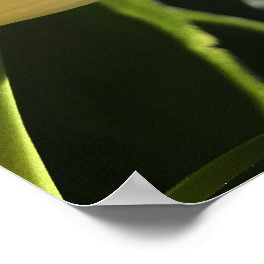 Poster Fleur pourpre (Coin)