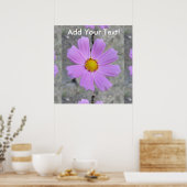 Poster Fleur pourpre Cosmos (Cuisine)